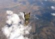 Military Free Fall Course – a new capability