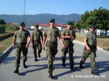 Slovenská krv v Bosne