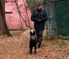 Odcudzenie 2 kusov vojenskej útočnej pušky SA vz. 58