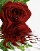 Blahoželanie k MDŽ