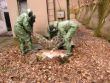Výcvik NRF 2014 s toxickými chemickými látkami