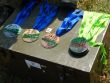 Majstrovstvá Ozbrojených síl Slovenskej republiky v letnom biatlone