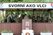 Vojenský nástup
