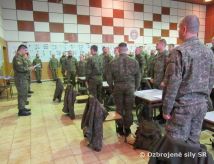Výber profesionálnych vojakov do operácie UNFICYP